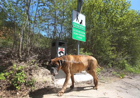 kOŠ CERKNICA PEŠČENK 01 FOTO LJUBO VUKELIČ